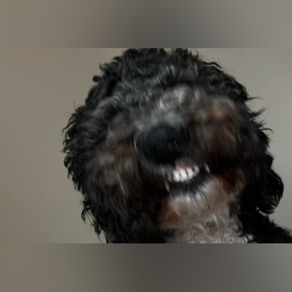 LIKE IF YOU TRADE - Picture 2 of 3